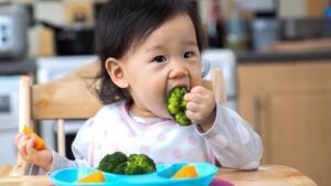 A baby around six months old eating a broccoli floret by themselves with their hands, a great example of baby led weaning. 