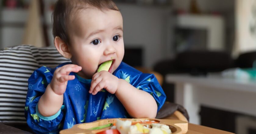 a small baby picks up a piece of cucumber and eats it.
